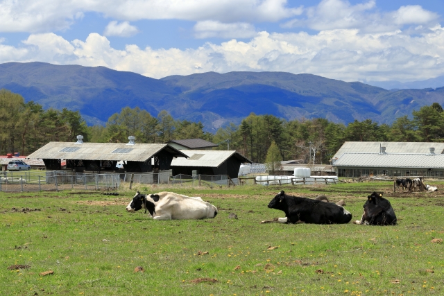 酪農・畜産業の高効率化　5G